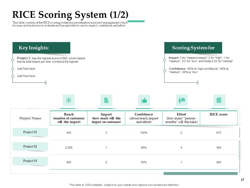 Firm Project Prioritization And Selection Ppt PowerPoint Presentation Complete Deck With Slides Slide17