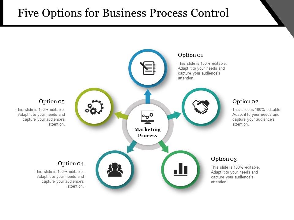 Five Options For Business Process Control Ppt PowerPoint Presentation ...