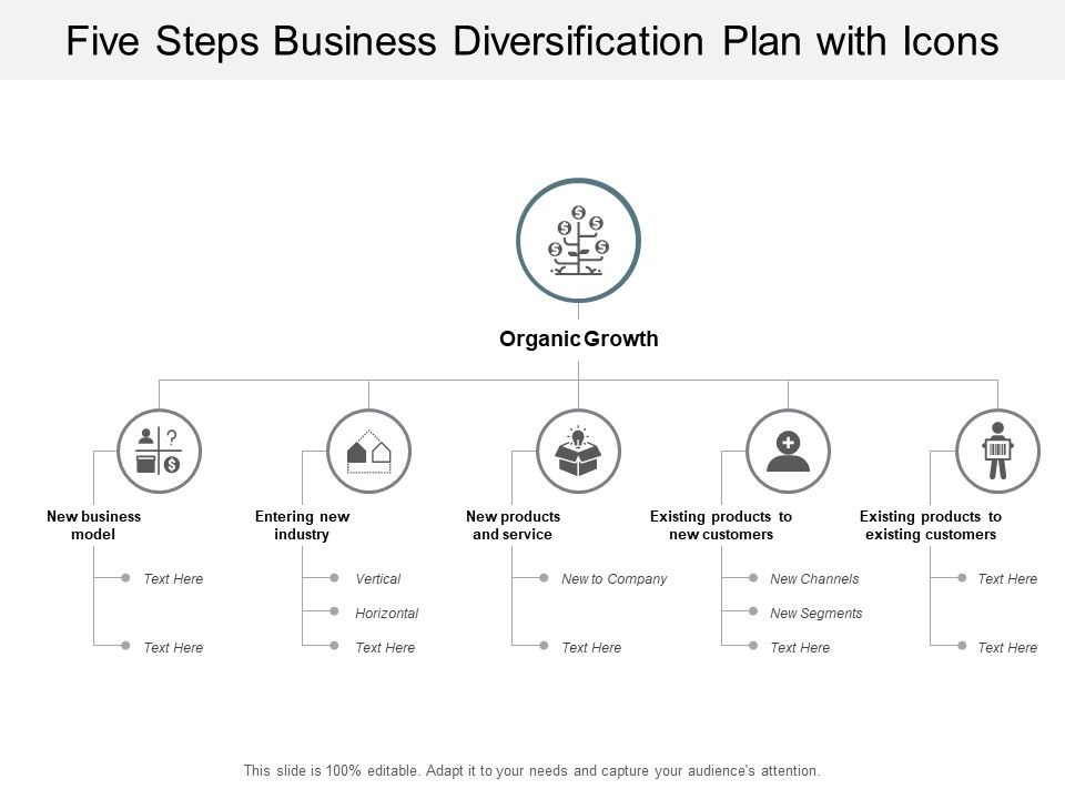 Five_Steps_Business_Diversification_Plan_With_Icons_Ppt_PowerPoint_Presentation_Layouts_Topics_Slide_1.jpg