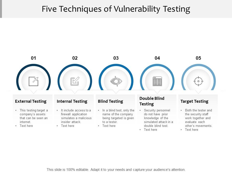 Five_Techniques_Of_Vulnerability_Testing_Ppt_PowerPoint_Presentation_Model_Icon_Slide_1.jpg