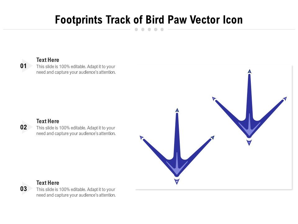 Footprints_Track_Of_Bird_Paw_Vector_Icon_Ppt_PowerPoint_Presentation_Professional_Deck_PDF_Slide_1.jpg