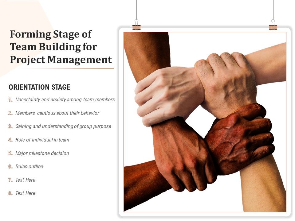 Forming_Stage_Of_Team_Building_For_Project_Management_Ppt_PowerPoint_Presentation_Icon_Show_PDF_Slide_1.jpg