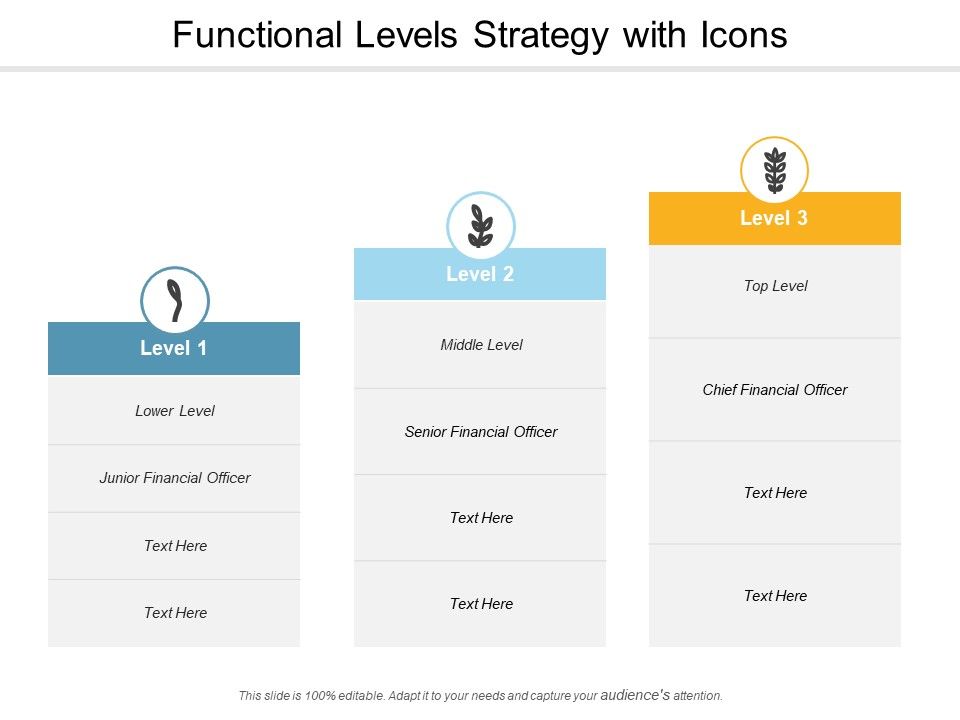 Functional_Levels_Strategy_With_Icons_Ppt_PowerPoint_Presentation_Infographic_Template_Aids_Slide_1.jpg