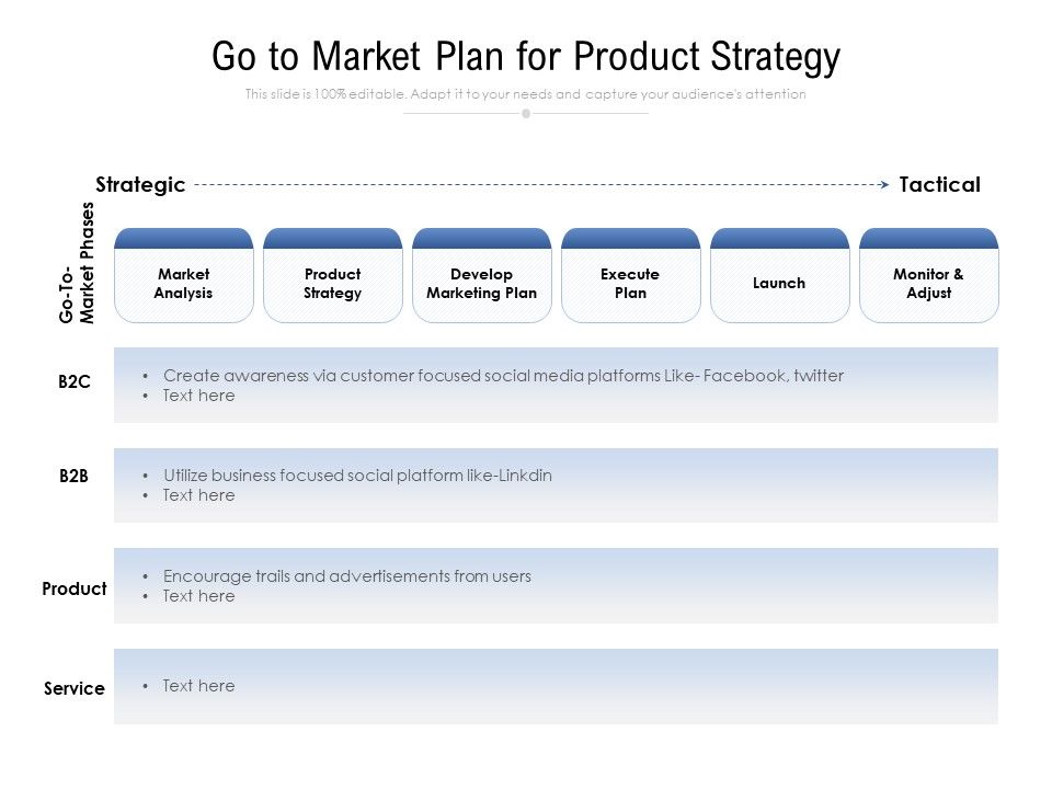 Go_To_Market_Plan_For_Product_Strategy_Ppt_PowerPoint_Presentation_File_Example_File_PDF_Slide_1.jpg