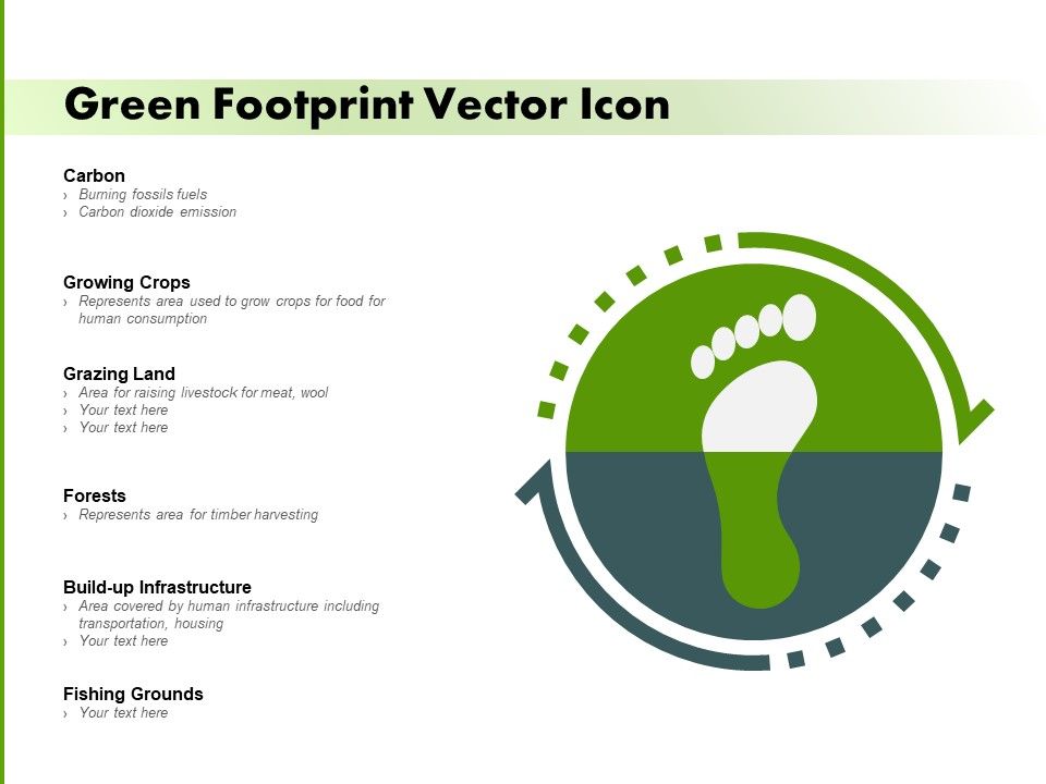 Green_Footprint_Vector_Icon_Ppt_PowerPoint_Presentation_Styles_Design_Ideas_Slide_1.jpg