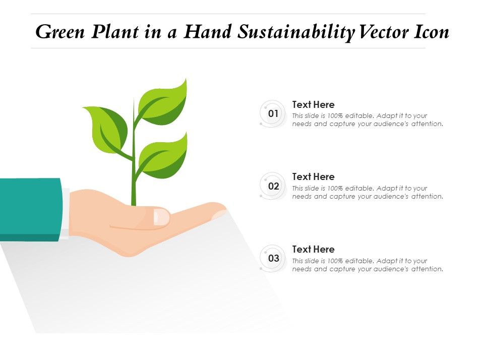 Green_Plant_In_A_Hand_Sustainability_Vector_Icon_Ppt_PowerPoint_Presentation_File_Sample_PDF_Slide_1.jpg