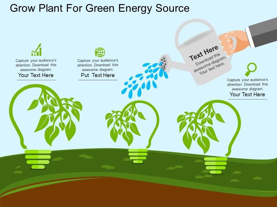 Grow Plant For Green Energy Source Powerpoint Template Slide01