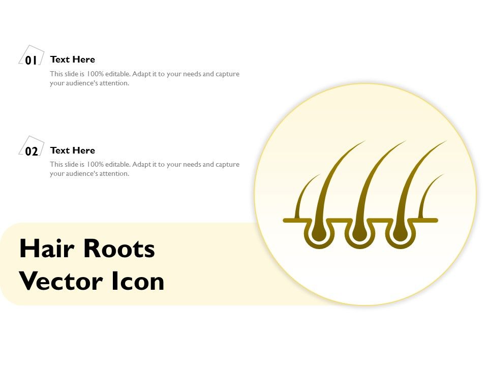 Hair_Roots_Vector_Icon_Ppt_PowerPoint_Presentation_Layouts_Graphics_PDF_Slide_1.jpg