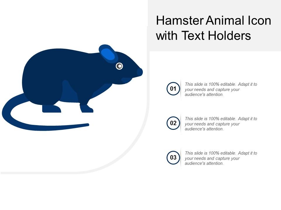 Hamster_Animal_Icon_With_Text_Holders_Ppt_PowerPoint_Presentation_Outline_Images_Slide_1.jpg