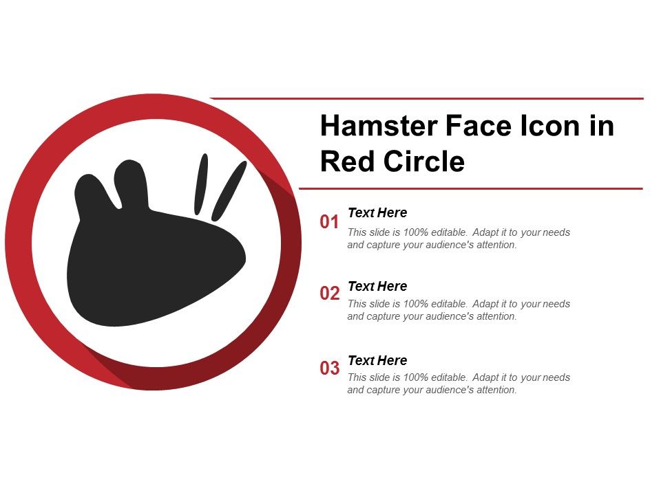 Hamster_Face_Icon_In_Red_Circle_Ppt_PowerPoint_Presentation_File_Example_Topics_Slide_1.jpg