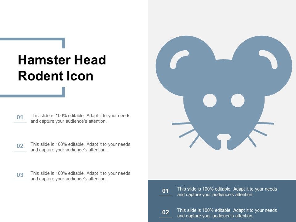 Hamster_Head_Rodent_Icon_Ppt_PowerPoint_Presentation_Summary_Rules_Slide_1.jpg