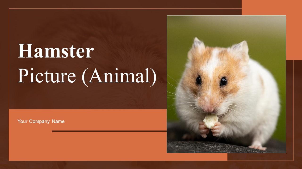 Hamster_Picture_Animal_Ppt_PowerPoint_Presentation_Complete_Deck_With_Slides_Slide_1.jpg