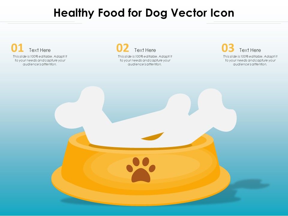 Healthy_Food_For_Dog_Vector_Icon_Ppt_PowerPoint_Presentation_File_Ideas_PDF_Slide_1.jpg