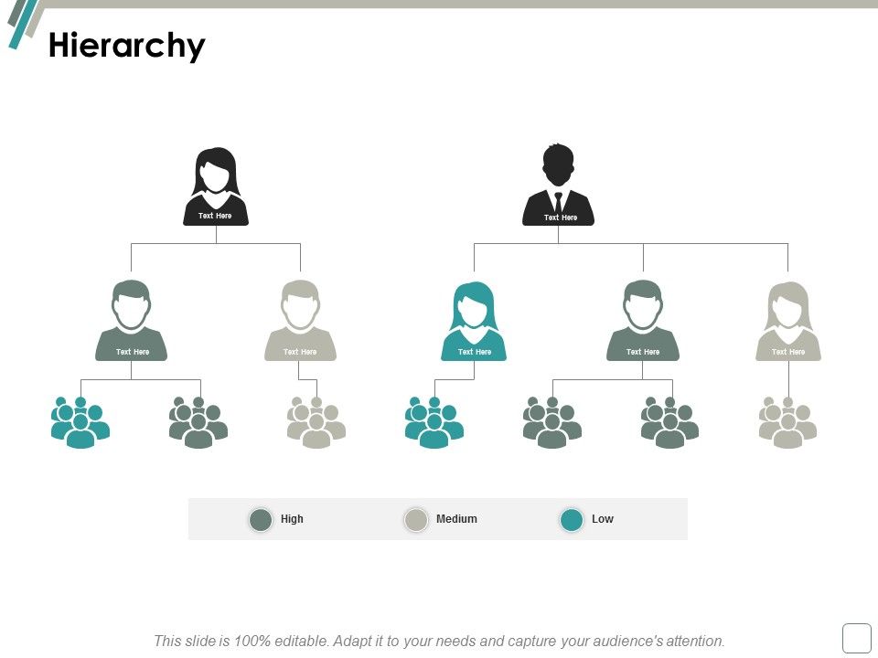 Hierarchy_Business_Management_Ppt_PowerPoint_Presentation_Icon_Display_Slide_1.jpg