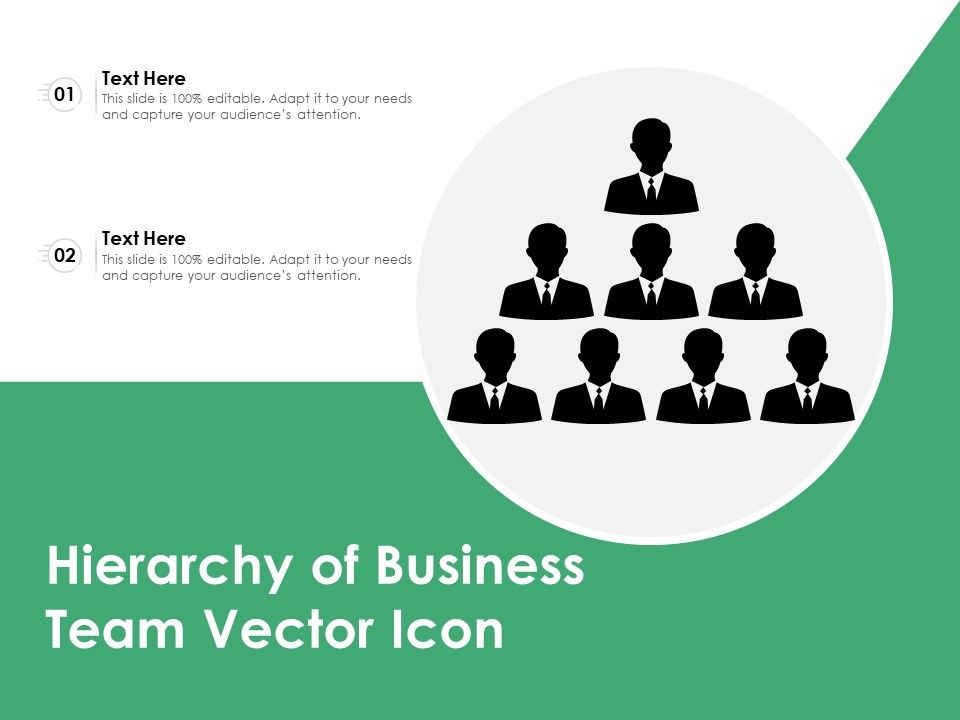 Hierarchy_Of_Business_Team_Vector_Icon_Ppt_PowerPoint_Presentation_Inspiration_Example_File_PDF_Slide_1.jpg