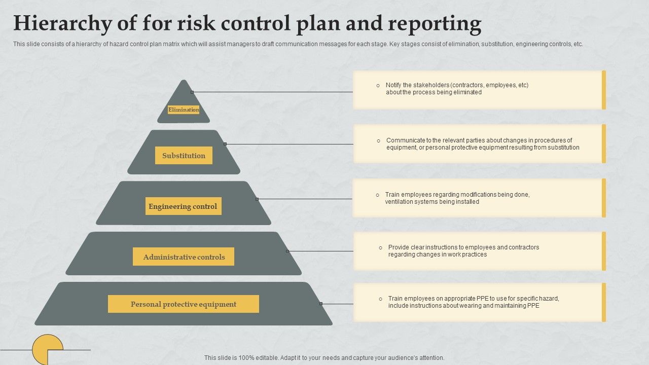 Hierarchy Of For Risk Control Plan And Reporting Background PDF