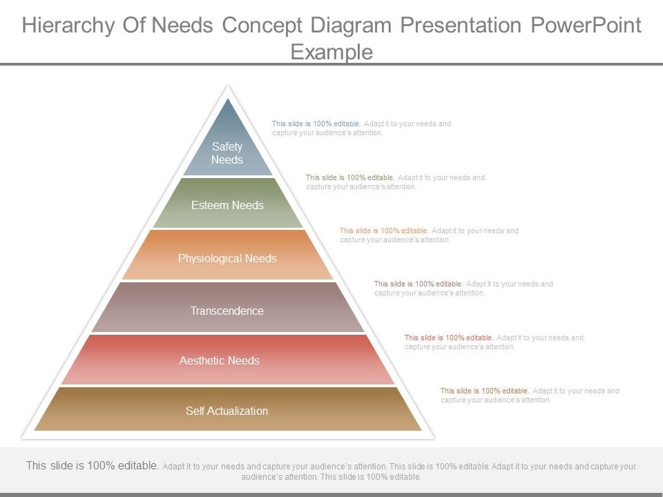Hierarchy Of Needs Concept Diagram Presentation Powerpoint Example