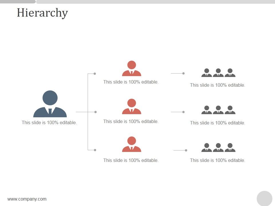 Hierarchy Ppt Powerpoint Presentation Designs Hierarchy Ppt Powerpoint Presentation Designs