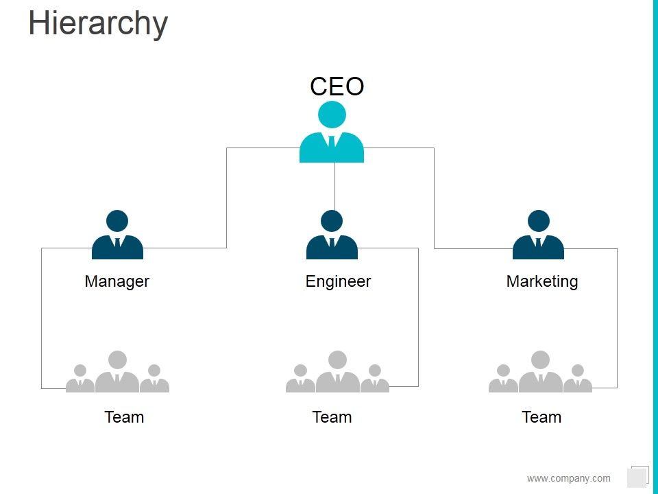 Hierarchy Ppt PowerPoint Presentation Portfolio Example