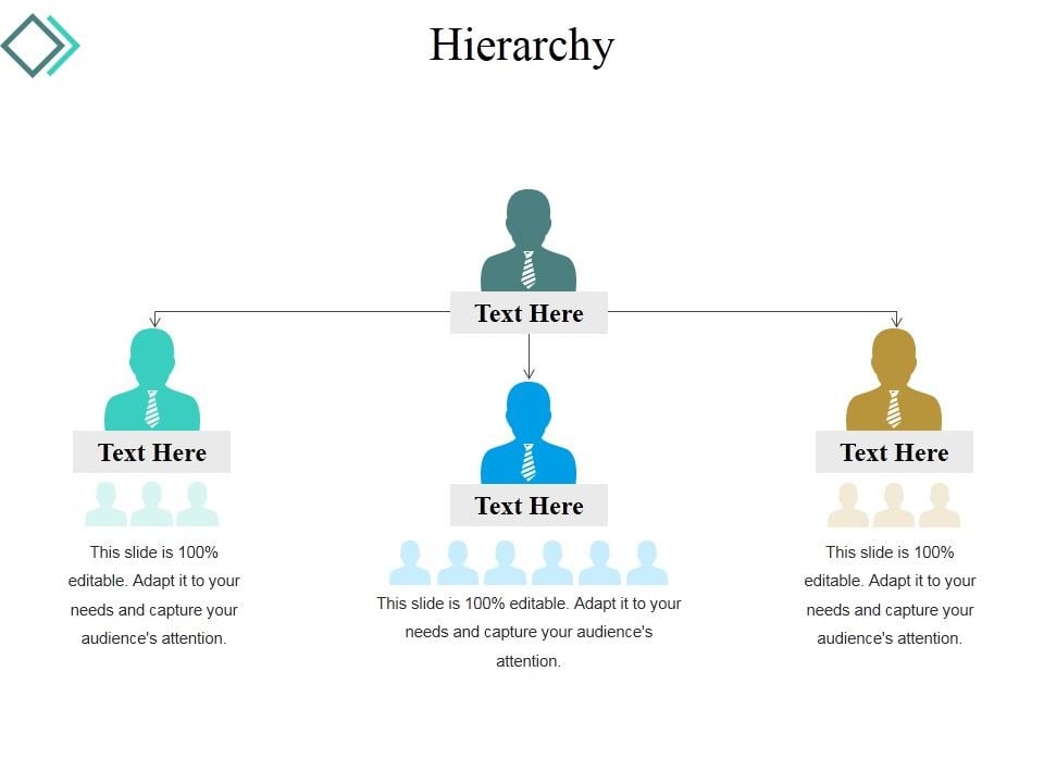 Hierarchy Ppt Powerpoint Presentation Show Aids Hierarchy Ppt Powerpoint Presentation Show Aids