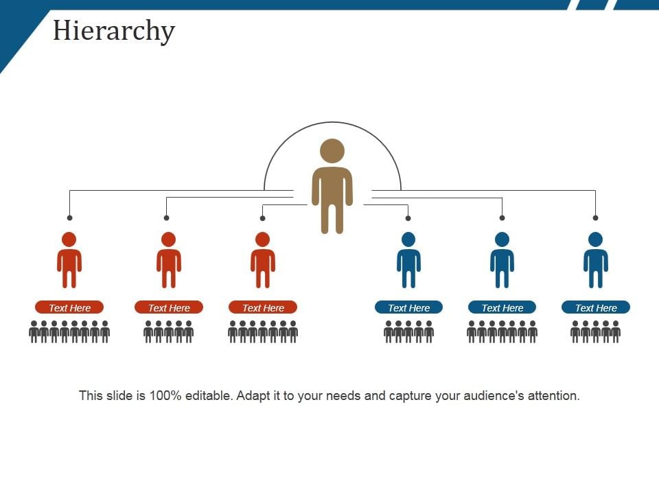 Hierarchy Ppt Powerpoint Presentation Slides Background Designs Hierarchy Ppt Powerpoint Presentation Slides Background Designs