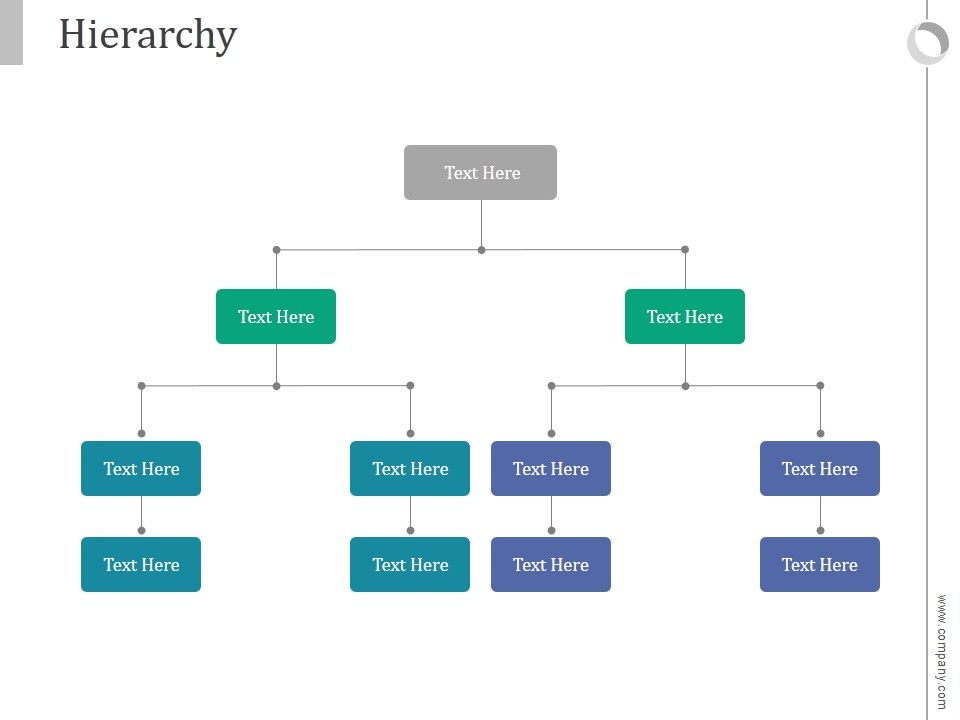 Hierarchy Ppt PowerPoint Presentation Templates