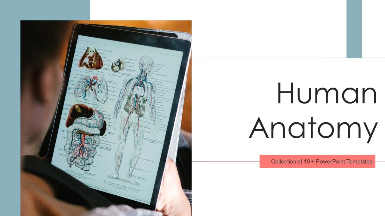 Human Anatomy Ppt Powerpoint Presentation Complete With Slides Human Anatomy Ppt Powerpoint Presentation Complete With Slides