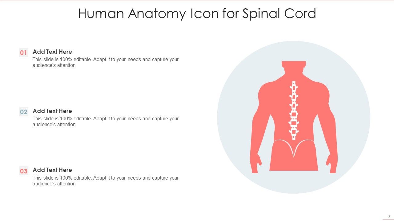 Human Anatomy Ppt PowerPoint Presentation Complete With Slides