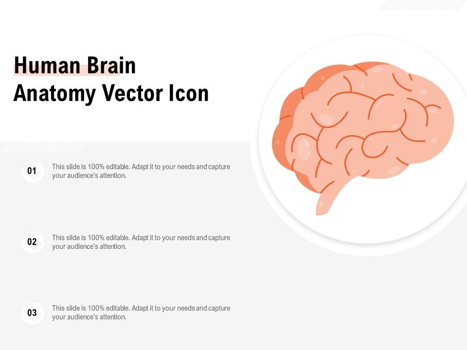 Human_Brain_Anatomy_Vector_Icon_Ppt_PowerPoint_Presentation_File_Samples_Slide_1.jpg