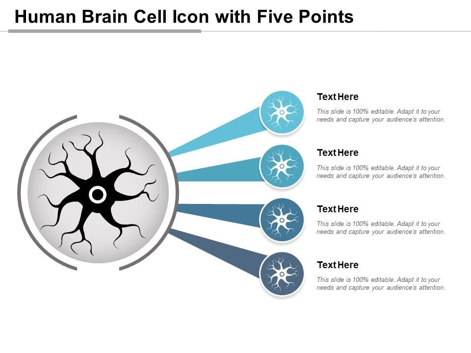Human_Brain_Cell_Icon_With_Five_Points_Ppt_PowerPoint_Presentation_Portfolio_Template_PDF_Slide_1.jpg