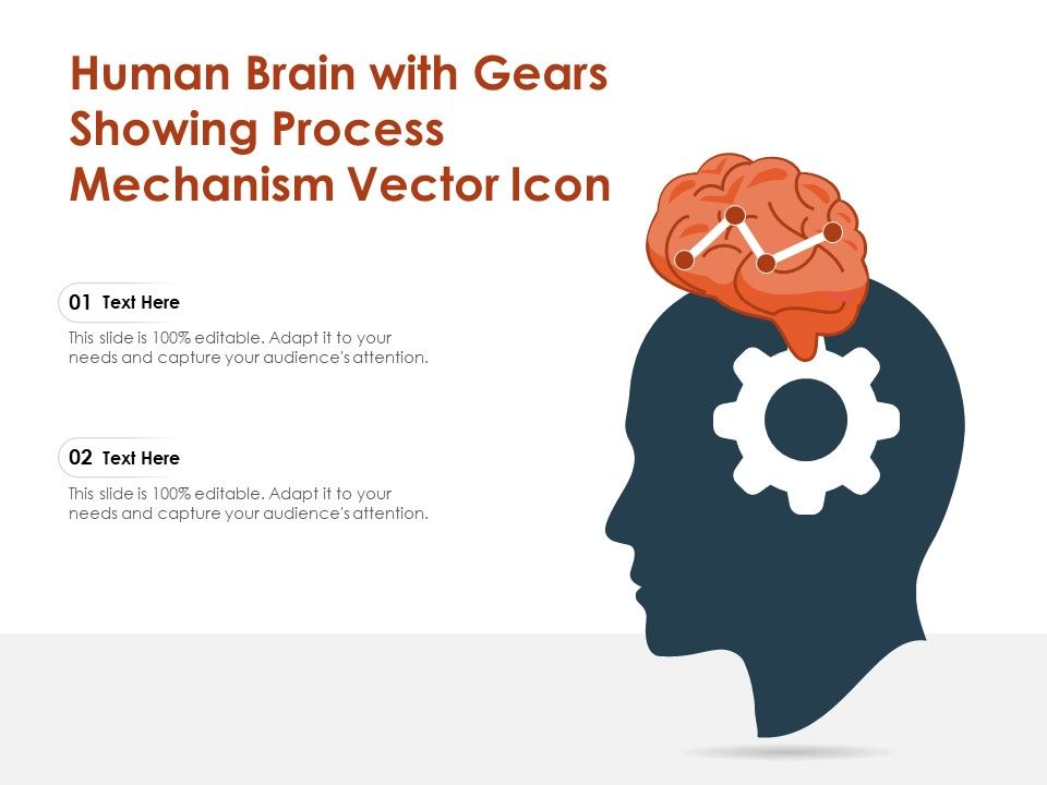 Human_Brain_With_Gears_Showing_Process_Mechanism_Vector_Icon_Ppt_PowerPoint_Presentation_Professional_Outline_PDF_Slide_1.jpg
