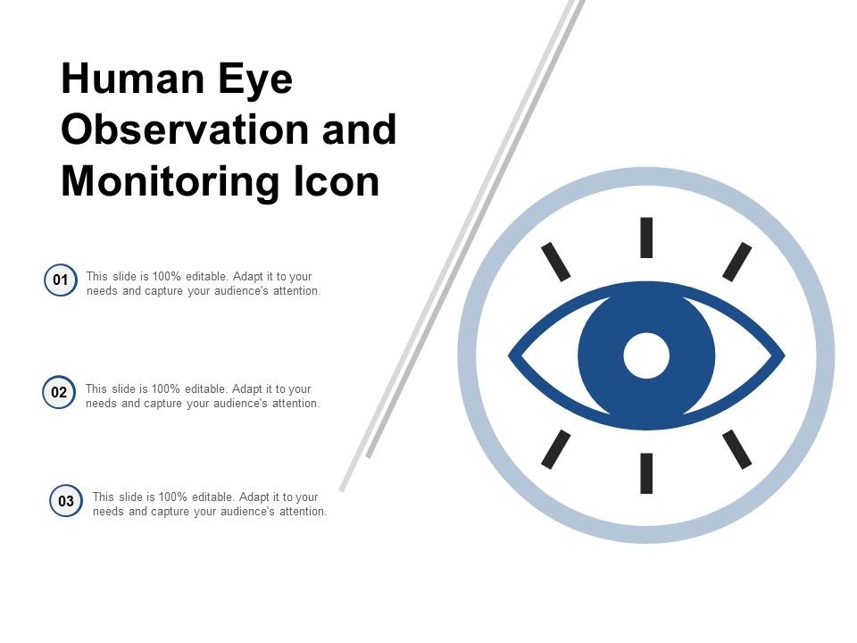 Human_Eye_Observation_And_Monitoring_Icon_Ppt_PowerPoint_Presentation_Slides_Background_Designs_Slide_1.jpg