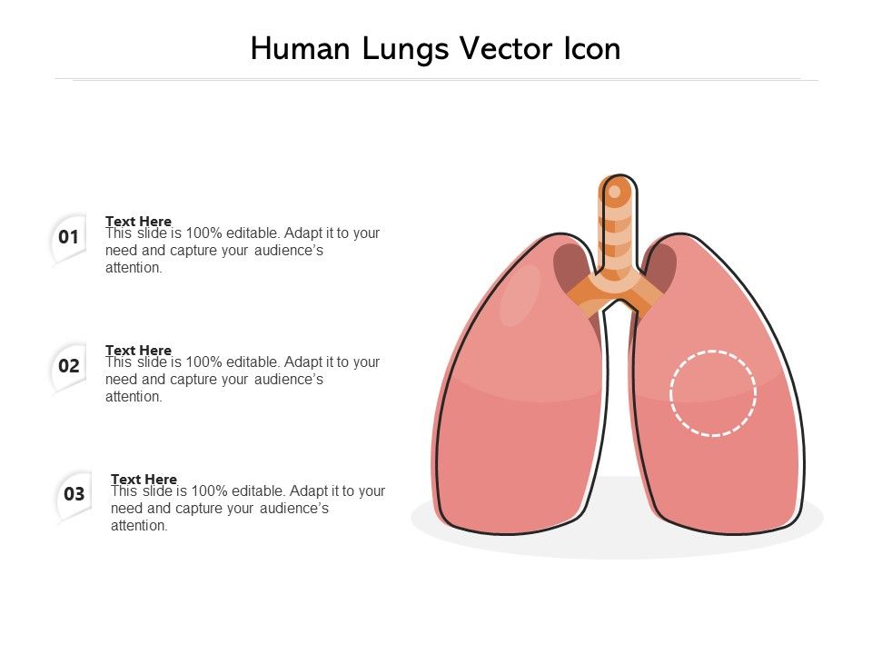 Human_Lungs_Vector_Icon_Ppt_PowerPoint_Presentation_File_Backgrounds_PDF_Slide_1.jpg