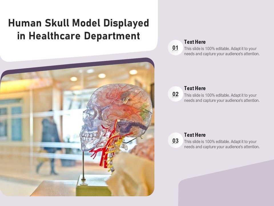 Human_Skull_Model_Displayed_In_Healthcare_Department_Ppt_PowerPoint_Presentation_Icon_PDF_Slide_1.jpg