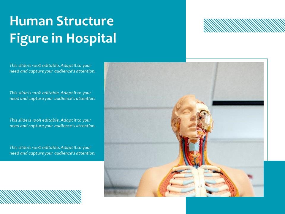 Human_Structure_Figure_In_Hospital_Ppt_PowerPoint_Presentation_Icon_Background_Images_PDF_Slide_1.jpg
