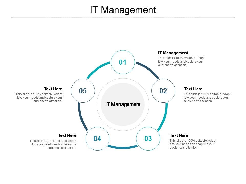 IT Management Ppt PowerPoint Presentation File Graphics Cpb