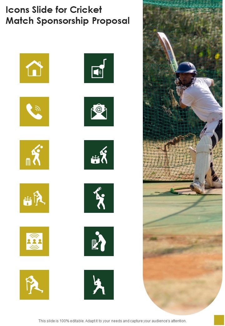 Icons Slide For Cricket Match Sponsorship Proposal One Pager Sample Example Document Slide01