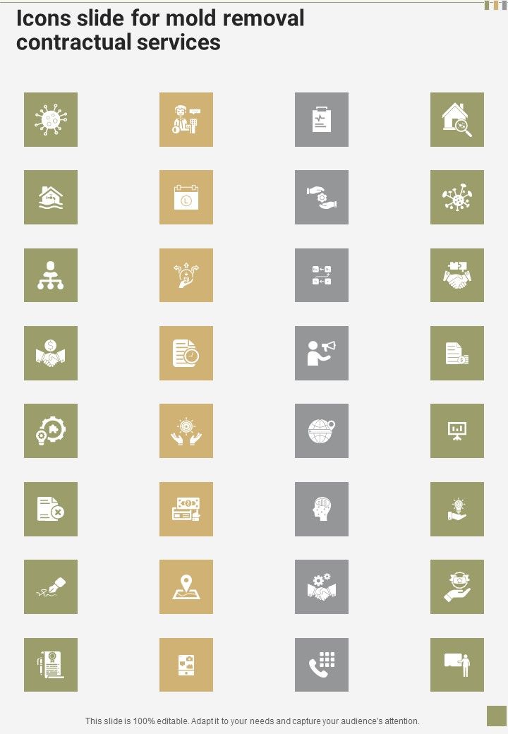 Icons Slide For Mold Removal Contractual Services One Pager Sample Example Document Slide01