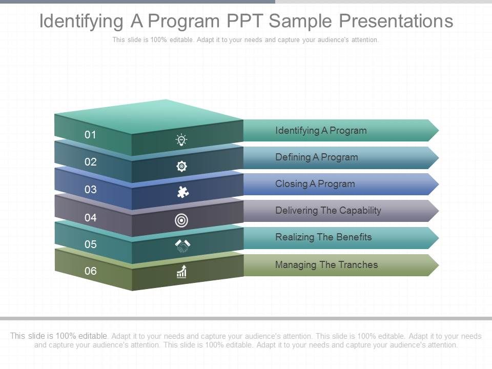Identifying A Program Ppt Sample Presentations