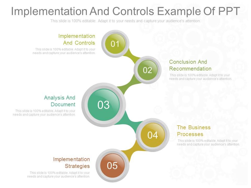 Implementation And Controls Example Of Ppt