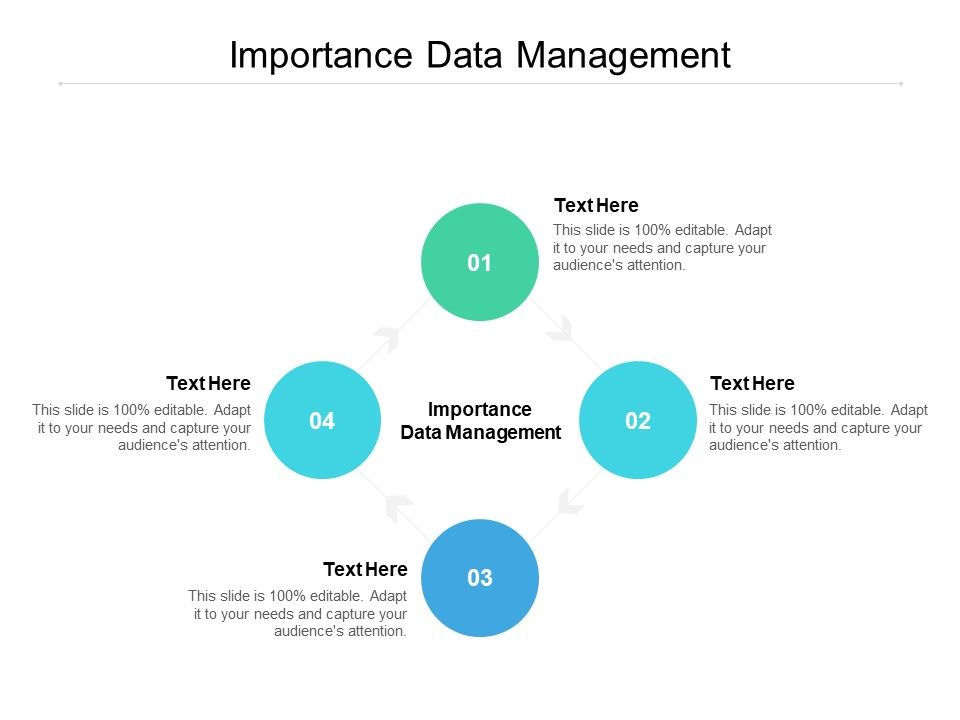 Importance Data Management Ppt PowerPoint Presentation Infographic ...