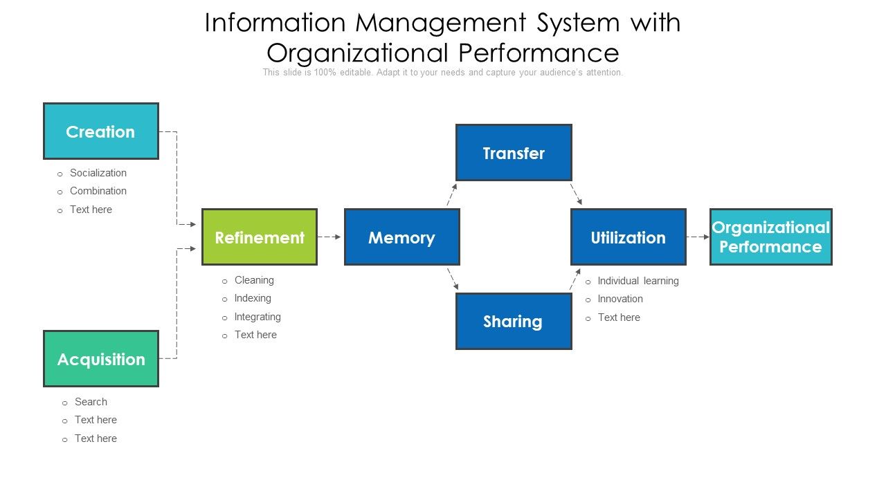 Information Management System With Organizational Performance Portrait PDF