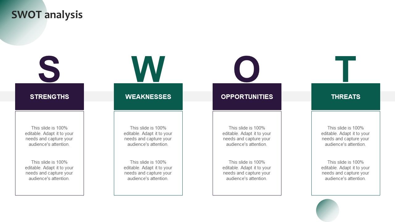 information-systems-security-and-risk-management-plan-swot-analysis