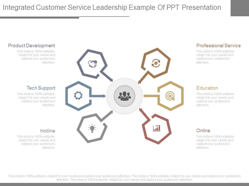 Integrated Customer Service Leadership Example Of Ppt Presentation