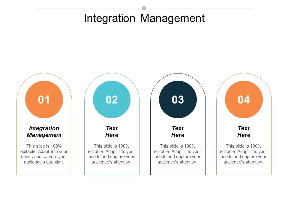 Integration Management Ppt PowerPoint Presentation Professional Example Cpb