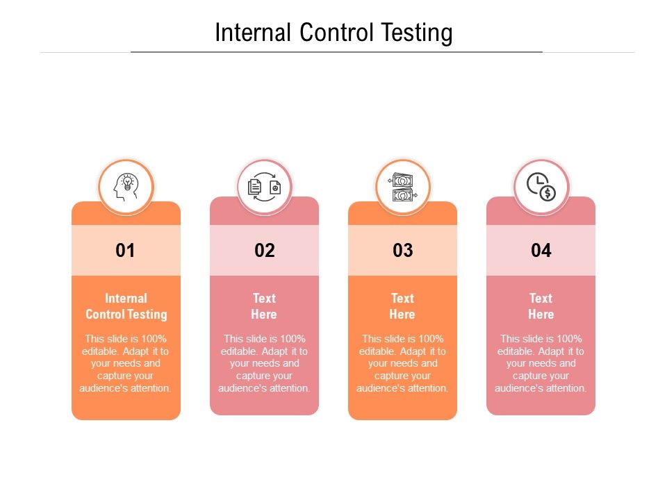 Internal Control Testing Ppt PowerPoint Presentation Infographics