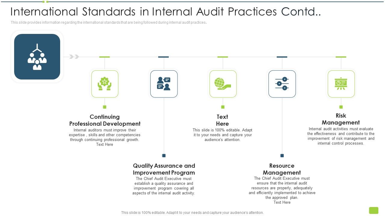 International_Standards_In_Internal_Audit_Practices_Contd_Ppt_Icon_File_Formats_PDF_Slide_1.jpg