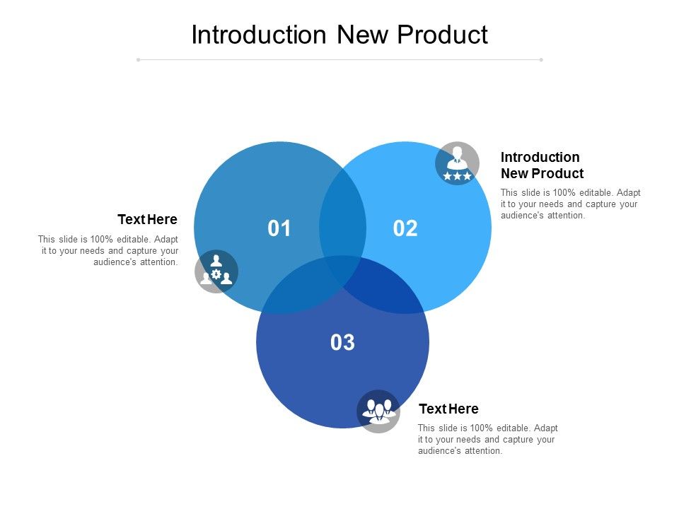 Introduction New Product Ppt PowerPoint Presentation Summary Layout Cpb