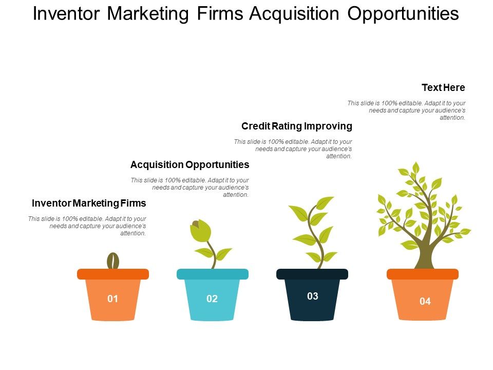 Inventor_Marketing_Firms_Acquisition_Opportunities_Credit_Rating_Improving_Ppt_PowerPoint_Presentation_Icon_Designs_Download_Slide_1.jpg