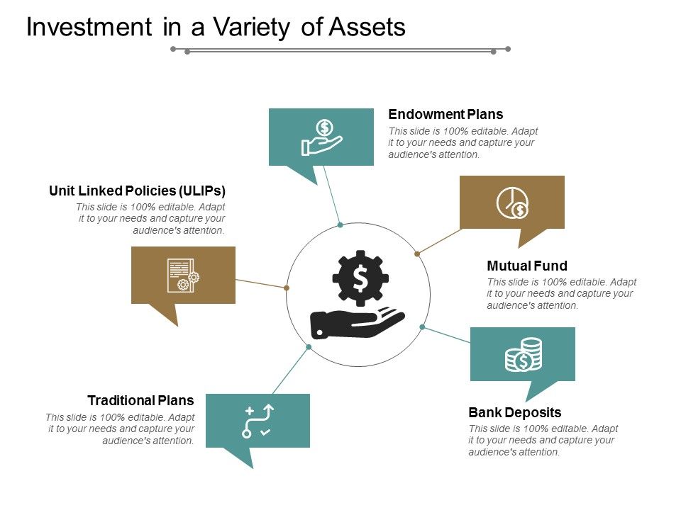 Investment_In_A_Variety_Of_Assets_Ppt_PowerPoint_Presentation_Icon_Objects_Slide_1.jpg